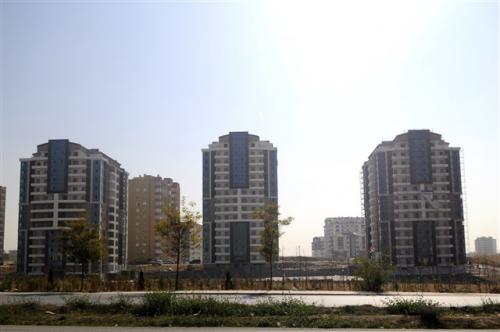 Zirve Life 1